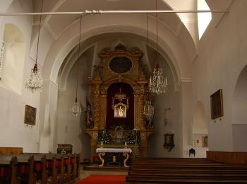 Randonnée A pied Gemeinde St. Corona am Wechsel - St. Corona - Almrauschhütte - Kampsteiner Schwaig - Herrgottschnitzerhütte - Simashütte - Orthof - Photo