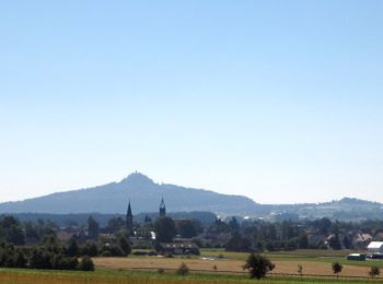 Tocht Te voet Neustadt am Kulm - Neustadt/Kulm Großer Ringweg - Photo