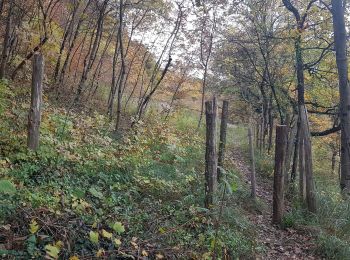 Tour Wandern Seyssins - La colline de Comboire par les hauts de Pré Nouvel - Photo