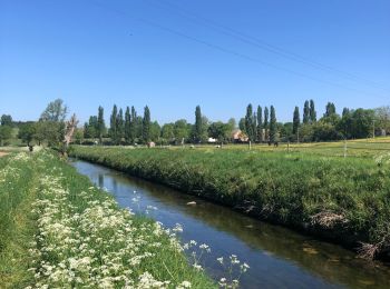 Randonnée V.T.C. Villepreux - Villepreux  - Photo