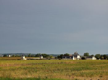 Tour Zu Fuß Gennes-Val-de-Loire - Le chemin des vieilles pierres - Photo