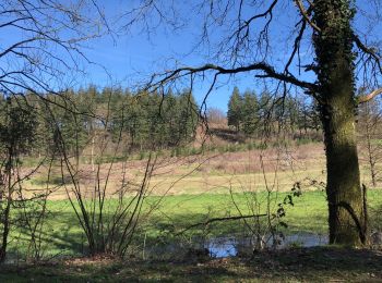 Tocht Stappen Wanze - Wanze Marche - Photo