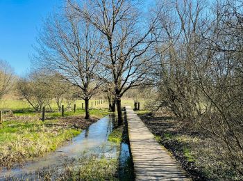 Tocht Stappen Huldenberg - WK_route_kp214_Zuid-Dijleland_1570116223 - Photo