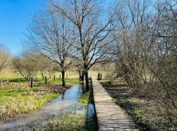 Tour Wandern Huldenberg - WK_route_kp214_Zuid-Dijleland_1570116223 - Photo