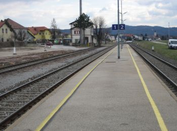 Tour Zu Fuß Lanzenkirchen - Föhrenwald Runde (Lanzenkirchen) - Photo