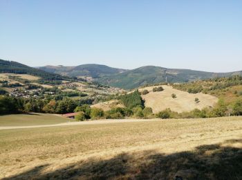 Trail Walking Doizieux - 42  croix Montvieux collet de Doizieux 19km 650m - Photo