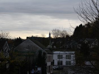 Randonnée A pied Hinzert-Pölert - Hermeskeil 1 - Photo