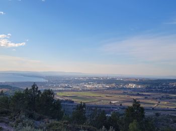 Excursión Senderismo Rognac - Rognac Saragousse - Photo