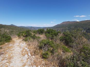 Tocht Stappen Gorniès - Le Grenouillet - Photo