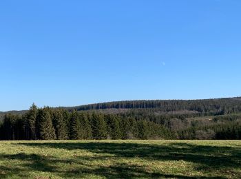 Tocht Stappen La Roche-en-Ardenne - Un petit tour dans les fagnes de la goutte en partant de Samree - Photo