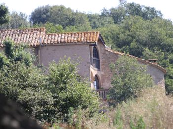 Excursión A pie Folgueroles - Camins de Verdaguer - Photo