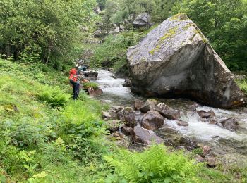 Trail Walking Bordes-Uchentein - Estagnous - Photo