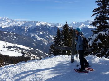 Excursión Raquetas de nieve Villard-sur-Doron - Bisanne-2021-02-15 - Photo