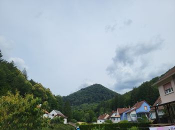 Tocht Stappen Niederbronn-les-Bains - Niederbron 270623 - Photo