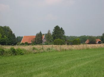 Tour Zu Fuß Hengelo - Wandelnetwerk Twente - paarse route - Photo