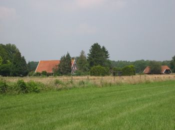 Trail On foot Hengelo - Wandelnetwerk Twente - paarse route - Photo