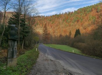 Randonnée A pied Haibach ob der Donau - Burgruine Stauf - Photo