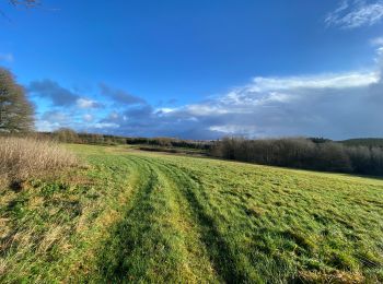 Percorso sport Léglise - L’église - Photo