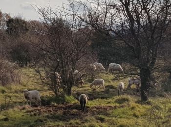 Excursión Marcha nórdica Le Puech - Les Vailhés - Laulo- L'Auverne 15 Février 2023 - Photo