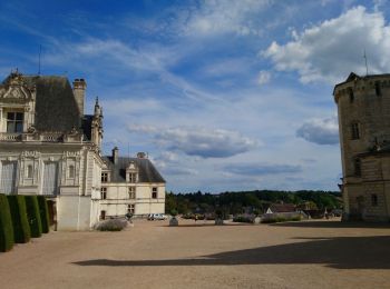 Tour Wandern Saint-Aignan - Saint-Aignan-sur-Cher - Zoo - 2015 12 27 - Photo