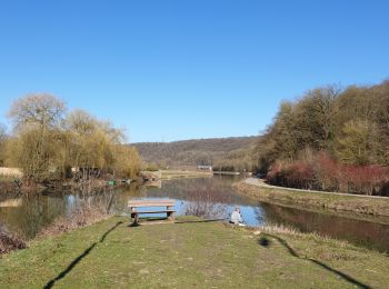 Trail Walking Fontaine-l'Évêque - Balade à l'abbaye d'Aulne  - Photo