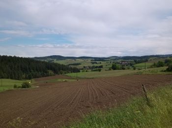 Trail Walking Marlhes - petit tour depuis l'airellier du pilat - Photo