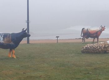 Tocht Lopen Moulins - boucle moulins  - Photo