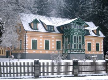 Trail On foot Gemeinde Kirchberg am Wechsel - Hochwechsel Wanderweg (Kirchberg a.W. - Steyersberger Schwaig - Photo