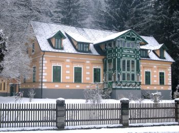 Tocht Te voet Gemeinde Kirchberg am Wechsel - Hochwechsel Wanderweg (Kirchberg a.W. - Steyersberger Schwaig - Photo