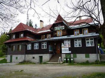 Tour Zu Fuß Ober Lomna - NS Wolfram – Morávka - Photo