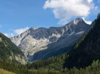 Randonnée A pied Mallnitz - Naturlehrweg Seebachtal - Stappitzer See - Photo