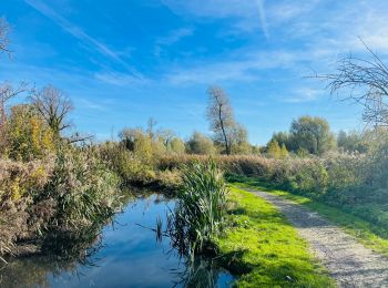 Randonnée Marche Geer - La réserve naturelle du Haut-Geer à Hollogne-sur-Geer  - Photo