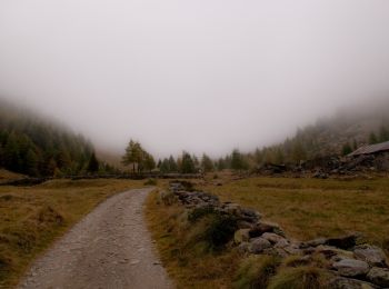 Randonnée A pied Vezza d'Oglio - Bassa Via Val Grande sinistra - Photo