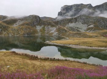 Tour Wandern La Plagne-Tarentaise - 73 2022 08 17 La Plagne-Banchettes - Photo