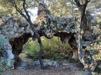 Randonnée Marche Malataverne - Chateauneuf Le Rac - Chemin de Belle-Eau 7km - Photo