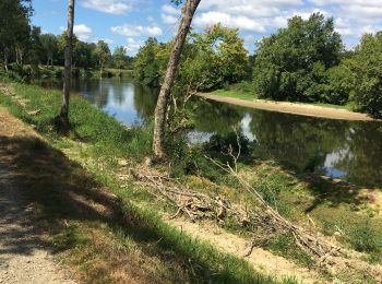 Tocht Stappen Rivière-Saas-et-Gourby - Les Barthes a Rivière-Saas-et-Gourby  - Photo