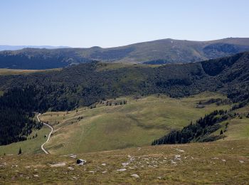 Trail On foot Bad Schwanberg - Grünangerhütte - Rundweg - Photo