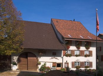 Tour Zu Fuß Anwil - Ächtelmatt - Wittnau - Photo