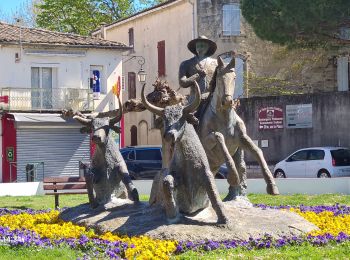 Randonnée Marche Marsillargues - marsillargues_ aymargues - Photo