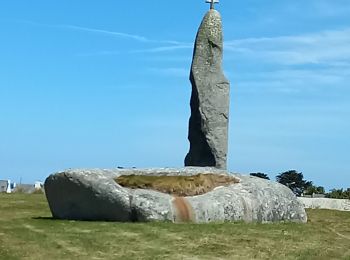 Excursión Senderismo Plounéour-Brignogan-Plages - Brignogan gare - Photo