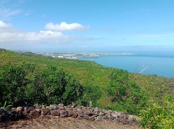 Tour Wandern La Possession - Chemin des Anglais  - Photo