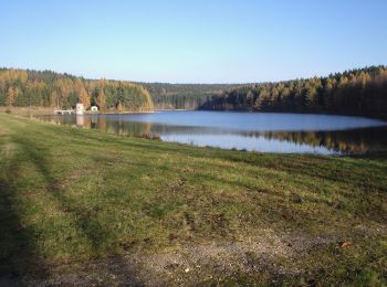 Percorso A piedi Stollberg/Erzgebirge - Naturlehrpfad - Photo