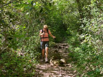 Excursión Senderismo Montauroux - Pont des Tuves MM - Photo