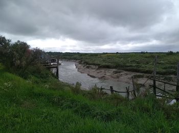 Tour Wandern Mornac-sur-Seudre - Mornac - Photo