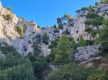 Excursión Senderismo Tolón - faron Daniel Louis   sud et sommet - Photo