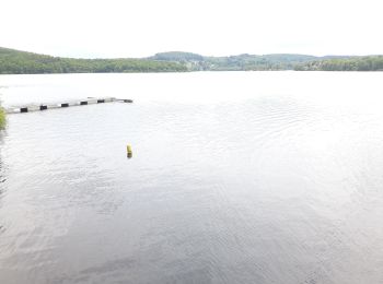 Tocht Stappen Beaumont-du-Lac - lac de Vassiviere  - Photo