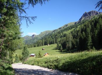 Excursión A pie San Giovanni di Fassa - IT-E641 - Photo