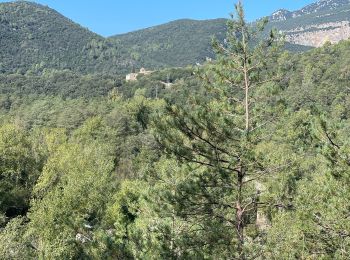 Randonnée Marche Sales de Llierca - Pont de Llerca Saderne variante à compléter  - Photo