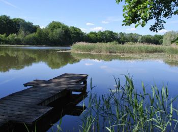 Randonnée Vélo de route Alby-sur-Chéran - VTC : 13 KM ETANG DE CROSAGNY - Photo