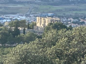 Tour Wandern Gigean - Saint Félix de Montceau  - Photo